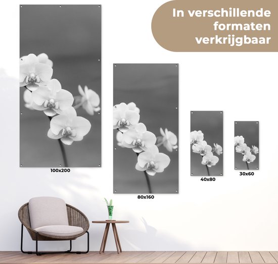Poster de jardin Orchidée - Fleurs - Plante - Wit - Violet - 30x60 cm - Toile jardin - Poster extérieur
