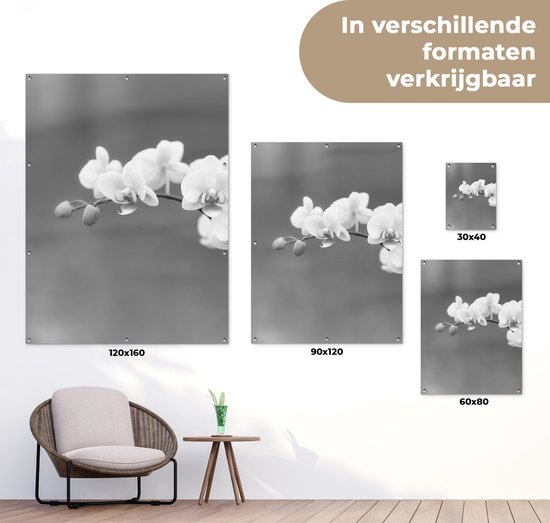 Tableau jardin Orchidée - Fleurs - Plante - Wit - Violet - 60x80 cm - Affiche jardin - Toile jardin - Affiche extérieur