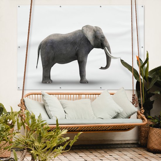 Décoration murale Eléphant sur fond blanc - 180x120 cm - Poster jardin - Toile jardin