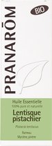 Pranarôm Essentiële Olie van Mastiek van Pistache (Pistacia Lentiscus) Bio 5 ml