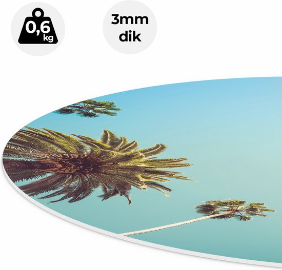 Artaza Forex Muurcirkel Palmbomen met Bladeren in de Lucht - 70x70 cm - Wandcirkel - Rond Schilderij - Wanddecoratie Cirkel - Muurdecoratie