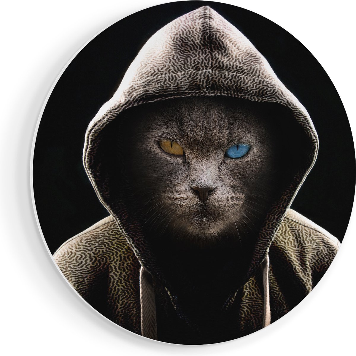 Artaza Forex Muurcirkel Boze Kat Draagt Een Hoodie - 70x70 cm - Wandcirkel - Rond Schilder