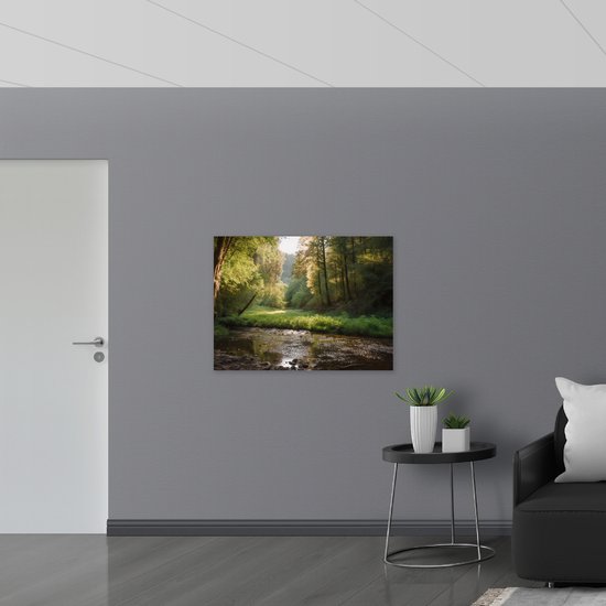 Dibond - Bos - Natuur - Water - Beekje - Stenen - Bomen - 100x75 cm Foto op Aluminium (Met Ophangsysteem)
