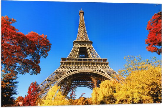 Vlag - Eiffeltoren - Bomen - Parijs - Onderaanzicht - 90x60 cm Foto op Polyester Vlag