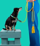 DWAM Dog with a Mission Hondenriem – Riem voor honden – Geel – Polyester/Leer – L – 155 x 1.4 cm – Sunny
