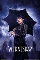 Poster Wednesday Umbrella 61x91,5cm