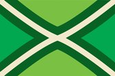 VlagDirect - Achterhoekse vlag - Achterhoek vlag - 90 x 150 cm.