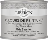 Libéron Velours De Peinture - 125ML - Gris Saunier