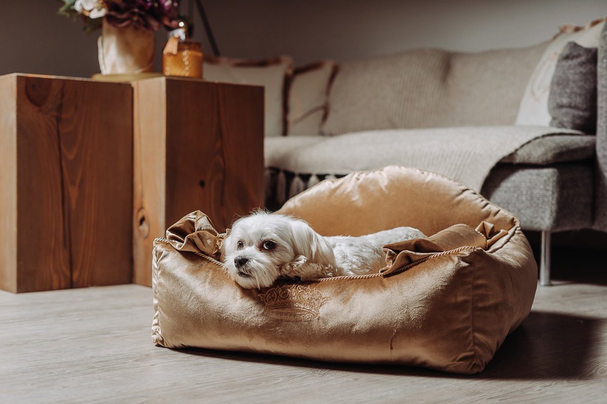 Luxe fluwelen vierkant huisdierenbed - Hondenbed - Velvet Dog Bed - Wasbaar - Gold L