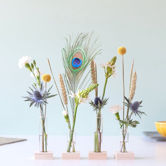 Bloom party
