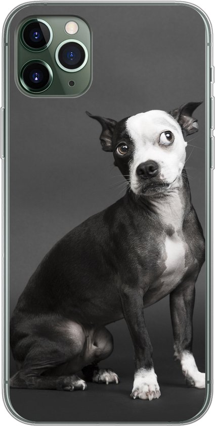 Telefoonhoesje Geschikt voor iPhone 11 Pro Max hoesje - Hond - Vlek - Portret - Siliconen Telefoonhoesje