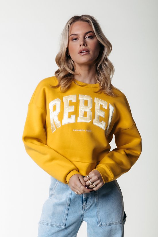 Colourful Rebel Rebel Patch Crppd Drppd Sweat - M