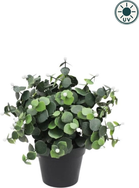 Kunstplant Eucalyptus wit in pot 22cm UV - voor binnen en buiten
