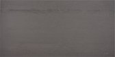 Casalgrande Padana Marte vloertegel gerectificeerd 60x30cm grigio maggia