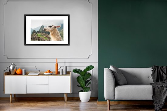 Photo dans le cadre - Lama Witte avec des taches noires Cadre photo noir avec passe partout blanc 60x90 90x60 cm - Affiche dans le cadre (Décoration murale salon / chambre)