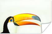 Une illustration de la tête d'un toucan poster 90x60 cm - Tirage photo sur Poster (décoration murale salon / chambre) / Poster Vogels