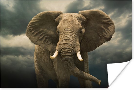 Afrikaanse olifant donkere wolken Poster 60x40 cm - Foto print op Poster (wanddecoratie)