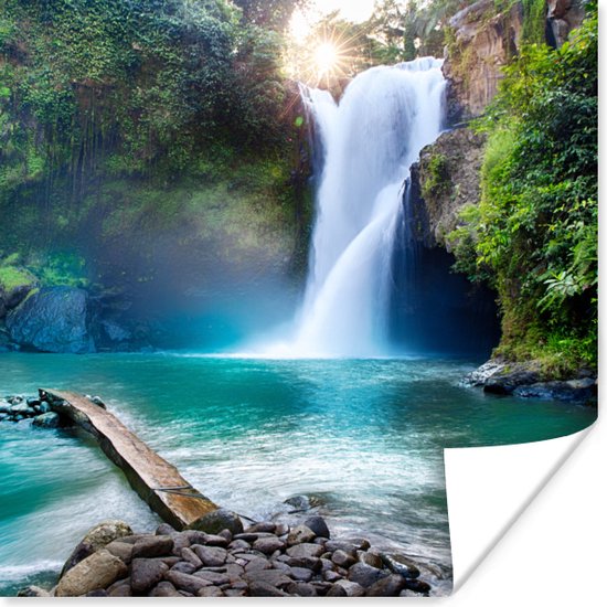 Poster Cascade - Pierres - Paysage - Plantes - Water - 50x50 cm