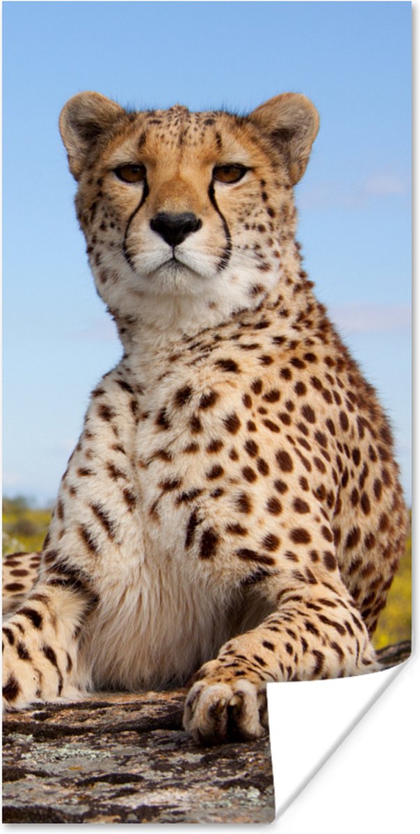 Poster Luipaard - Dieren - Natuur - 60x120 cm