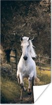 Poster Paard - Natuur - Modder - 20x40 cm