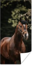 Poster Paard - Takken - Portret - 40x80 cm
