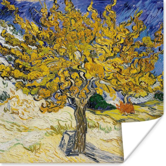 Poster Moerbeiboom - Vincent van Gogh - 30x30 cm