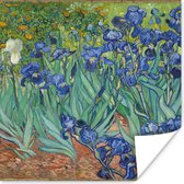 Poster Irissen - Vincent van Gogh - 30x30 cm