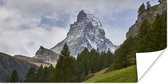 Poster De Zwitserse Matterhorn achter een dennenbos - 40x20 cm