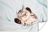 Poster Kitten - Grappig - Bed - Kinderen - Jongens - Meisjes - Kids - 180x120 cm XXL