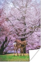 Hert in het voorjaar Poster 40x60 cm - Foto print op Poster (wanddecoratie woonkamer / slaapkamer) / Wilde dieren Poster
