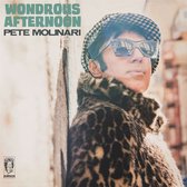 Pete Molinari - Wondrous Afternoon (LP)