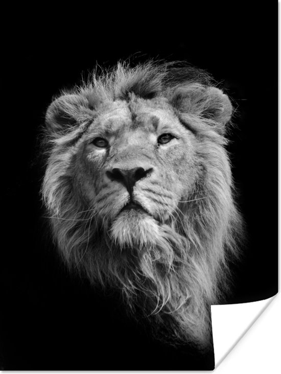 Lion asiatique sur fond noir en papier affiche noir et blanc 60x80