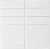 Mozaïek Barcelona 29.1x29.7 cm Geglazuurd Porselein Rechthoek Glanzend Wit (Prijs Per 0.86 m2)