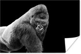 Poster Een schitterende Gorilla kijkt naar beneden - 60x40 cm
