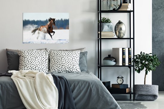 Poster Paard - Sneeuw - Winter - 90x60 cm