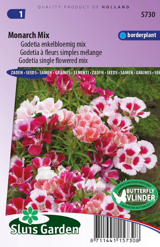 Godetia Monarch mix - Clarkia amoena - Bijen-Vlinders - Snijbloemen - bloeit in Oktober / Juli / Augustus / September