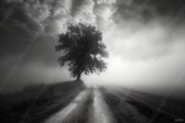 JJ-Art (Canvas) 150x100 | Landschap met boom in zwart wit, weg, wolken | mist, zandweg, modern | Foto-Schilderij canvas print (wanddecoratie)