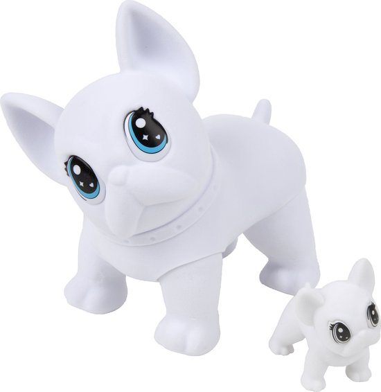 Een grote en een kleine witte Franse Bulldog Washimal, beide met grote blauwe ogen en een halsband.