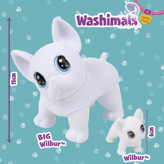 Afmetingen van de grote (15 cm) en kleine (6 cm) witte Franse Bulldog Washimals, beide met grote blauwe ogen en een halsband.