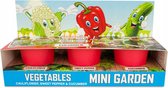 Mini kit de culture Légumes 3 pots - 19 cm x 7 cm