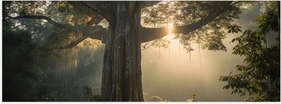 Poster Glanzend – Boom - Bos - Natuur - Zonlicht - Planten - 60x20 cm Foto op Posterpapier met Glanzende Afwerking