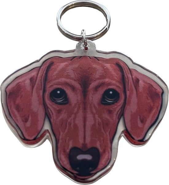VIDSTW 2 stuks teckel sleutelhangers, gepersonaliseerde hond van leer voor auto, schattige huisdierring voor Kerstmis en Halloween geschenken