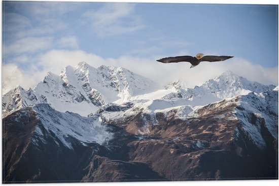 Vlag - Bergen - Vogel - Adelaar - Sneeuw - 60x40 cm Foto op Polyester Vlag