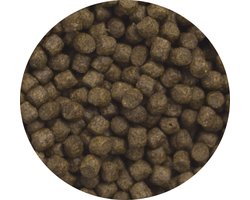 Ubbink - HEIKO KOI - visvoer - Energy Menu 1L - 6mm - uitgebalanceerd - drijvend