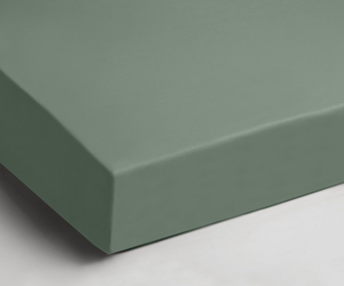 Day Dream Hoeslaken - Strijkvrij - Katoen - 180 x 200 cm - Lichtgroen