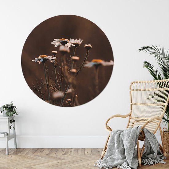 Label2X - Cercle mural marguerite - Ø 12 cm - Dibond - Multicolore - Cercle mural - Tableau rond - Décoration murale Cercle - Décoration murale ronde - Décoration pour salon ou chambre