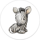 Label2X - Muurcirkel kids zebra - 40 cm - Forex - Multicolor - Wandcirkel - Rond Schilderij - Muurdecoratie Cirkel - Wandecoratie rond - Decoratie voor woonkamer of slaapkamer