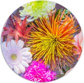 Label2X - Muurcirkel - Pretty - Ø 100 cm - Forex - Multicolor - Wandcirkel - Rond Schilderij - Bloemen en Planten - Muurdecoratie Cirkel - Wandecoratie rond - Decoratie voor woonkamer of slaapkamer
