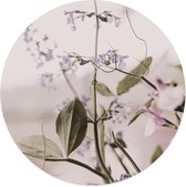 Cercle mural boho Ø 40 cm / Dibond - Recommandé