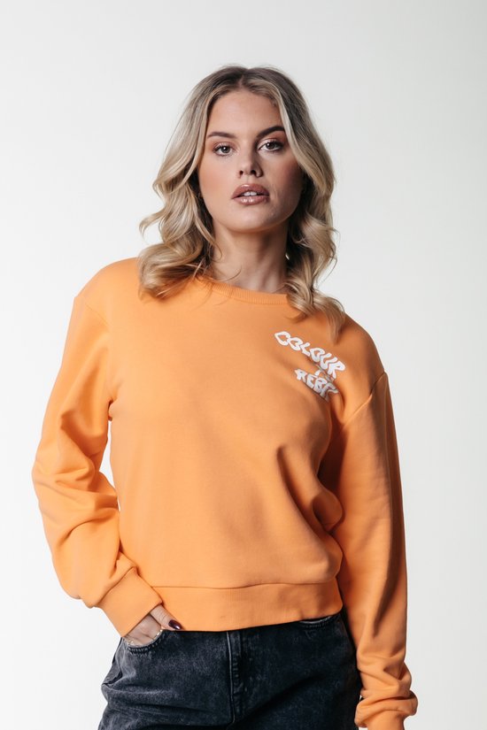 Colourful Rebel Logo Wave Relaxed Sweat - L